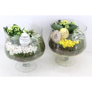 arr2 PL - Glas op voet x6 - geel/wit