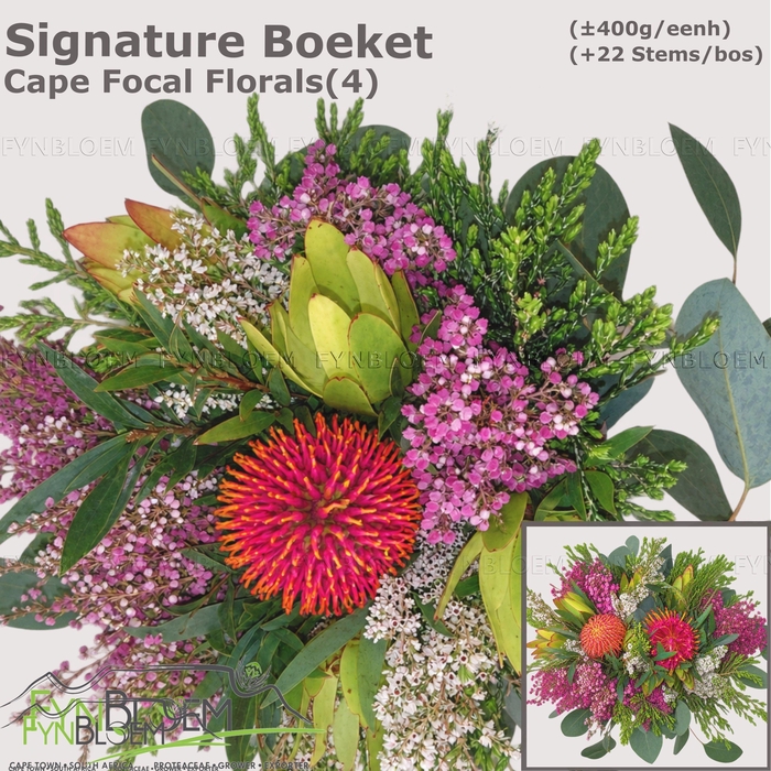 <h4>PROTEA PER BOS</h4>