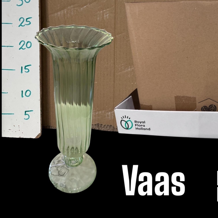 <h4>GLAZEN VAAS H%</h4>