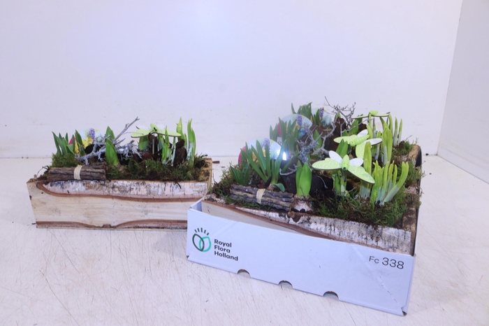 <h4>ARR BOL KNOLGEWAS</h4>