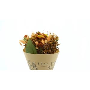 Dried Bouquet Orange x10