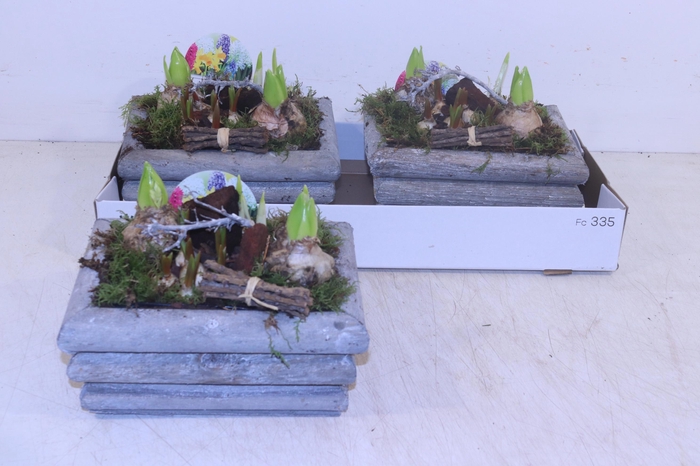 <h4>Arr Bol Knolgewas</h4>