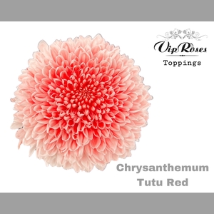 CHR G TUTU RED