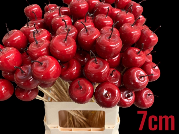 <h4>HUIS EN TUINDECO H%</h4>