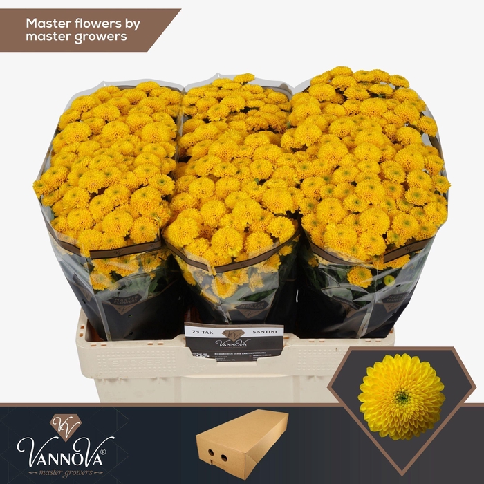 <h4>Chr S Aurinko</h4>