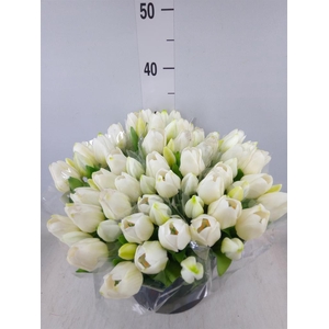 Decoratie  ..Kunstbloem H%