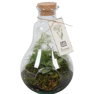 PTGIG2148 Arrangement Greens in glass in glazen fles