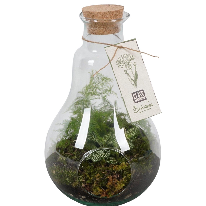 <h4>PTGIG2148 Arrangement Greens in glass in glazen fles</h4>