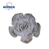 Echeveria Lilacina Cutflower Wincx-12cm