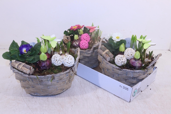 <h4>ARR TUINPLANTEN</h4>