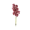 CYMBIDIUM VINHO