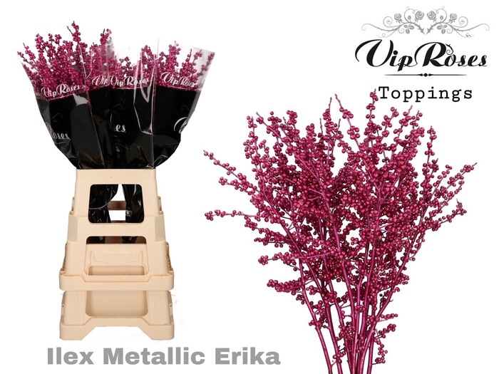 <h4>ILEX METALLIC ERICA 80 cm</h4>