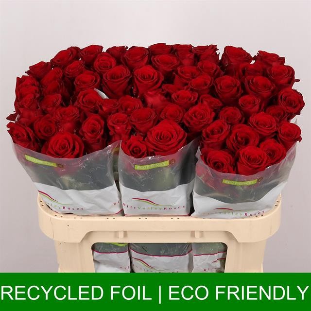 <h4>R Gr Red Bentley</h4>