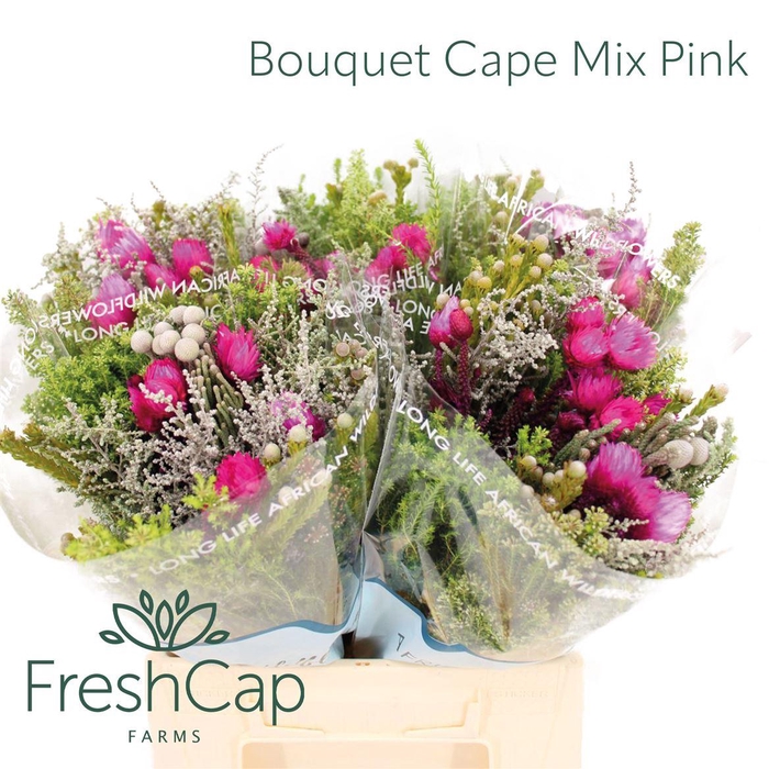 Bouquet Cape Mix Pink