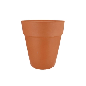 Terracotta Clematis Pot D31xh36cm Nm
