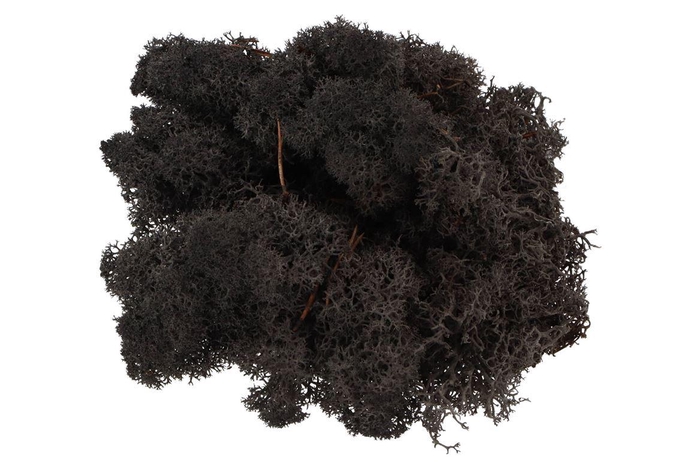 <h4>Mos Iceland Zwart 500 Gram</h4>