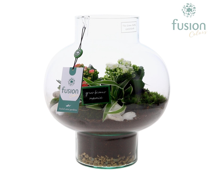 <h4>Green Bottle Laura Medium met Grootmoederdag arrangement</h4>