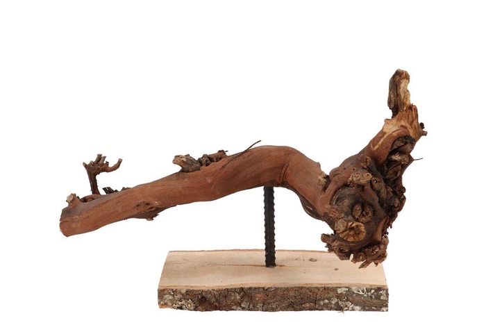 Nature Grape Wood Frame Small