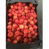 APPEL GROEN (LAK)
