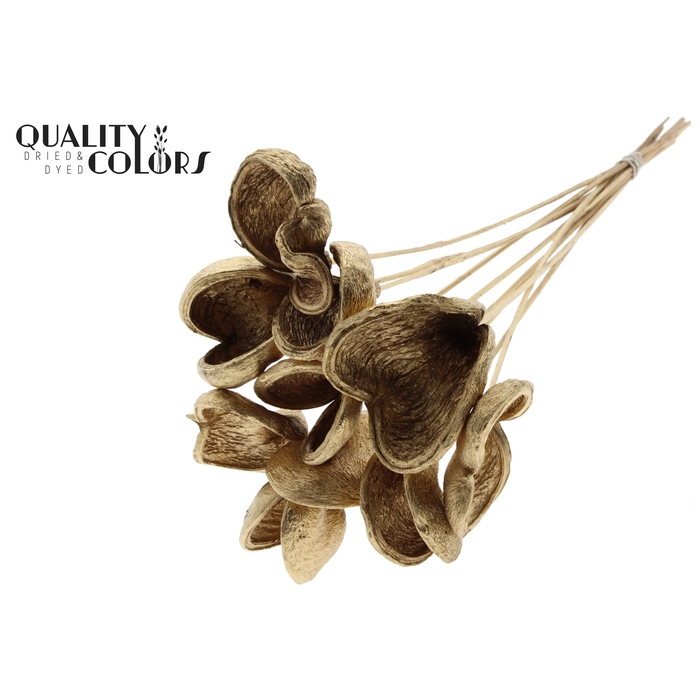 <h4>Badam on stem Antique Gold</h4>