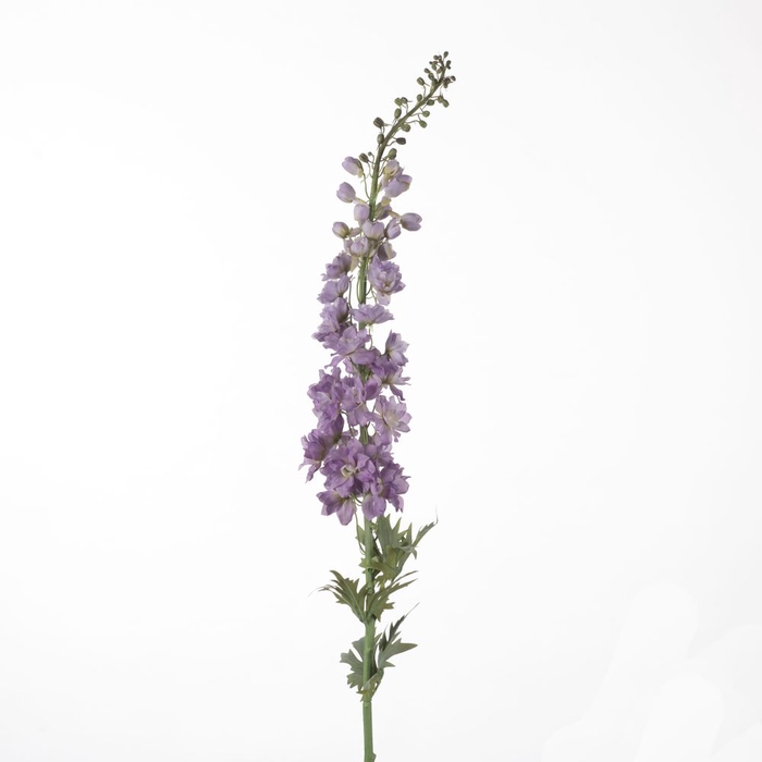 <h4>Af Delphinium L137cm Lavender</h4>