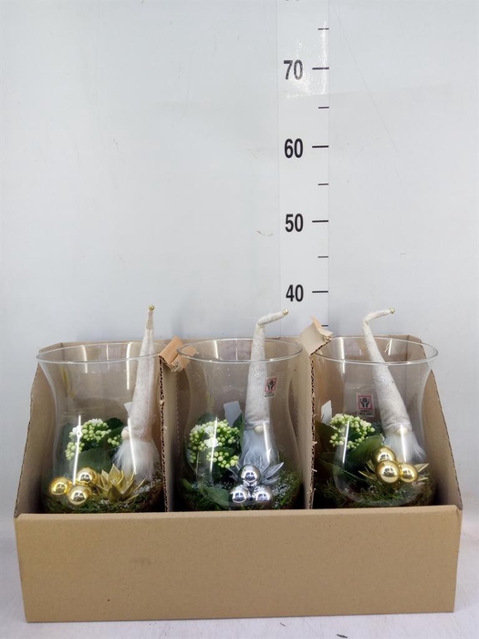 <h4>Arr.    Planten  L%</h4>