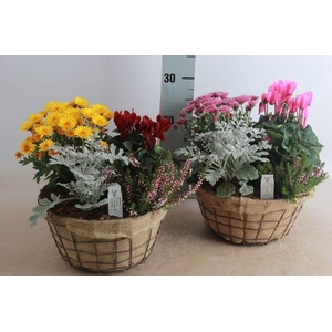 ARR GARDEN WIRE MESH