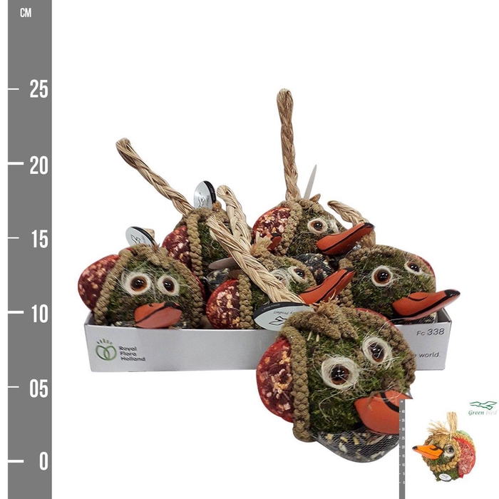 <h4>VOGELZ FIGUUR H%</h4>