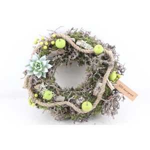 arr2 MB - Krans L ech. wit