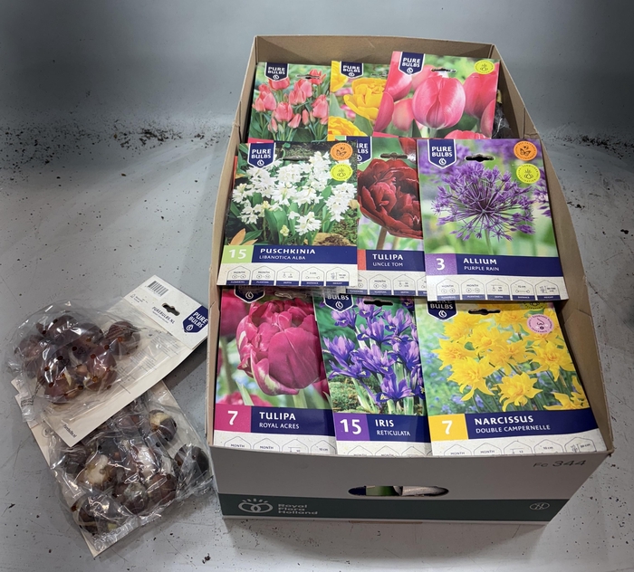 <h4>BLOEMBOL OV</h4>