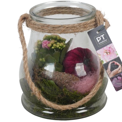 <h4>PTHG3349 Arrangementen kamerplanten</h4>
