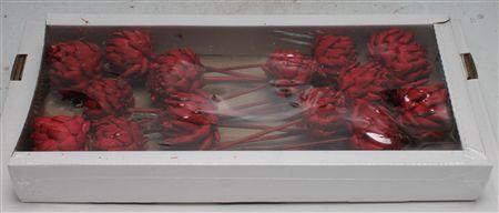 <h4>Artichoke Red ( X 14 St )</h4>