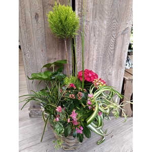 Panier extérieur 6