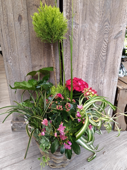 <h4>Panier extérieur 6</h4>
