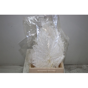 Dried Leather Leaf Bleach
