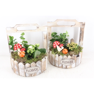 arr2 TD - Hout planter half rond - oranje/wit