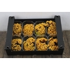 Sier Sorbusbes Yellow X8