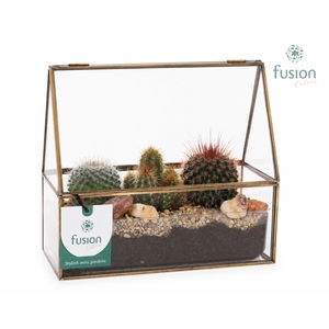 Glazen terrarium mini garden met Cactus