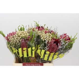 BQ Protea 3 Flowers