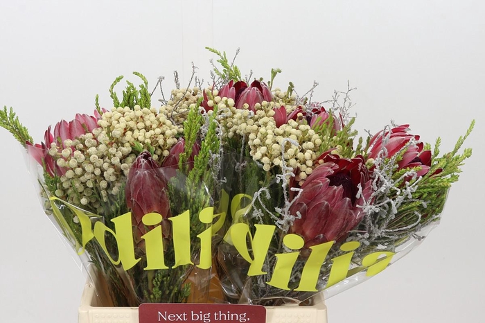 <h4>BQ Protea 3 Flowers</h4>