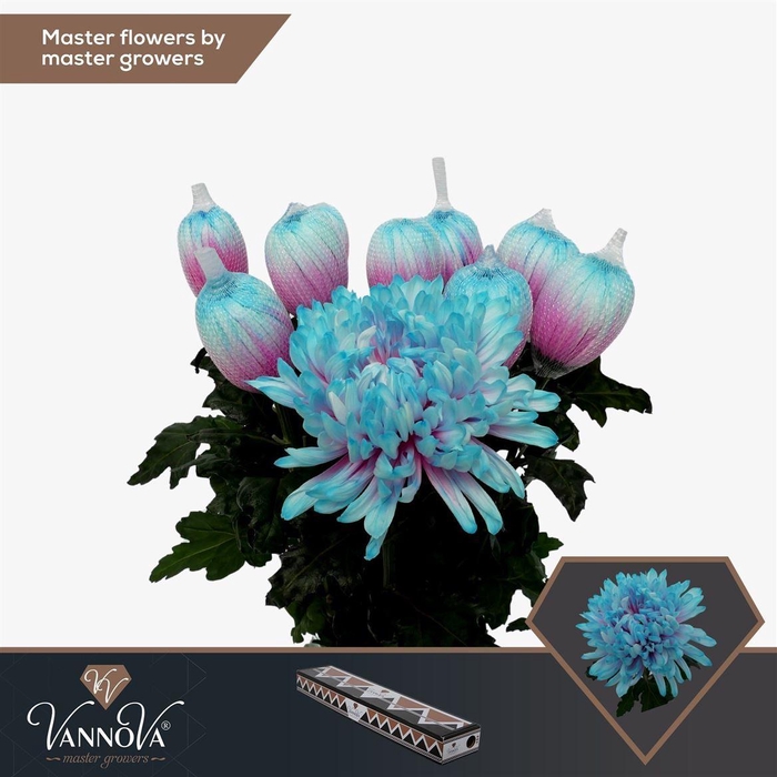 <h4>Painted Chr G Antonov Mermaid</h4>