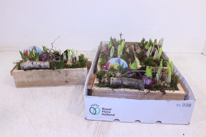 <h4>ARR BOL KNOLGEWAS</h4>