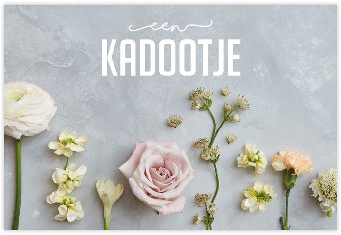 <h4>Kadobonnen Easy a 12 stuks Een leuk</h4>