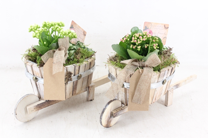 <h4>arr2 TD - Hout ton kruiwagen - roze/wit</h4>