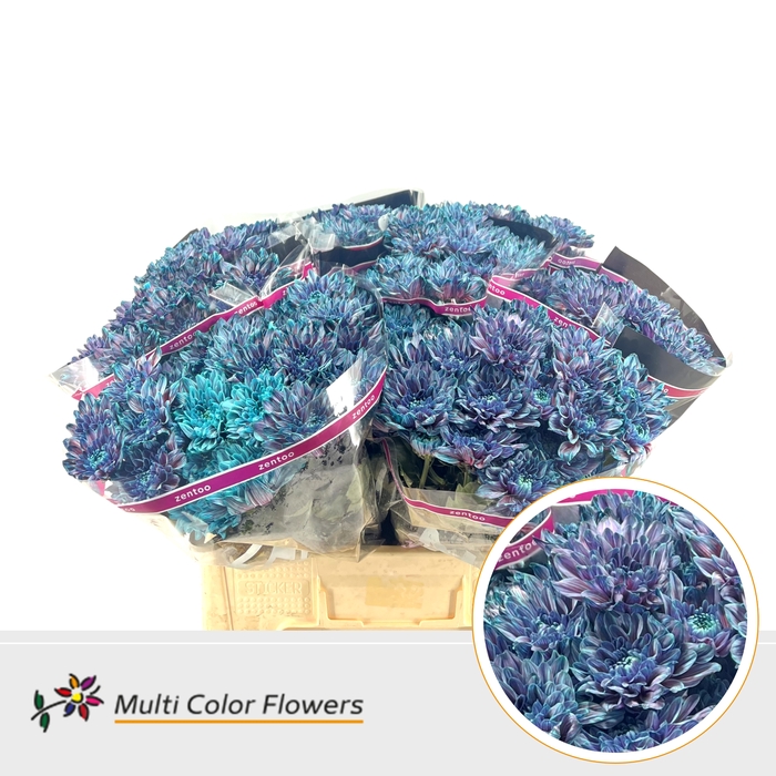 <h4>Chr T Baltica Terra Blue</h4>