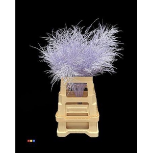 Treefern Light Milka