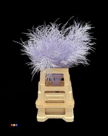 <h4>Treefern Light Milka</h4>