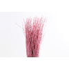 Berk Klb Pink