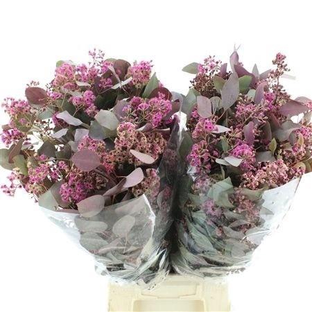 <h4>DECORGROEN KLB BS H%</h4>