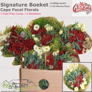 KAAPS GROE GEM IN BS